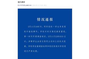 开云app官网入口网页版下载截图3